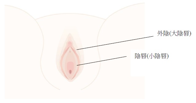 高雄陰唇整形/陰唇美白 高雄陰唇整形/陰唇美白